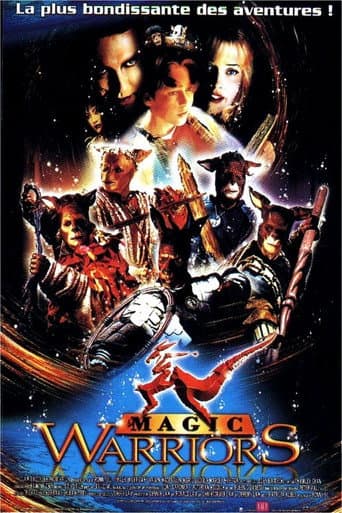 Affiche de Magic warriors
