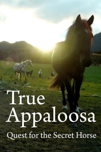 Affiche de Le Véritable Appaloosa