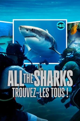 Affiche de All the Sharks : Trouvez-les tous !