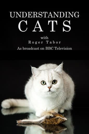 Affiche de Understanding Cats