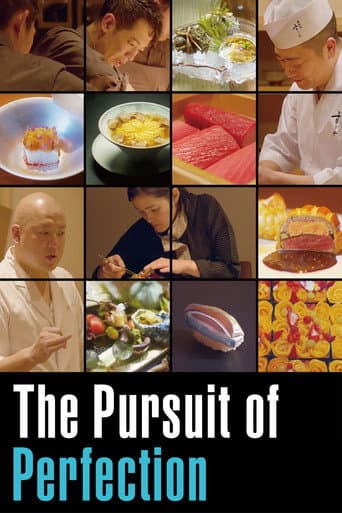 Affiche de The Pursuit of Perfection