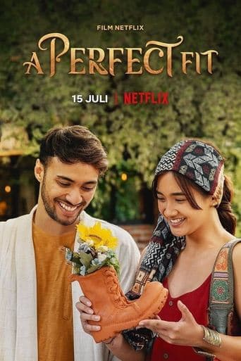 Affiche de A Perfect Fit