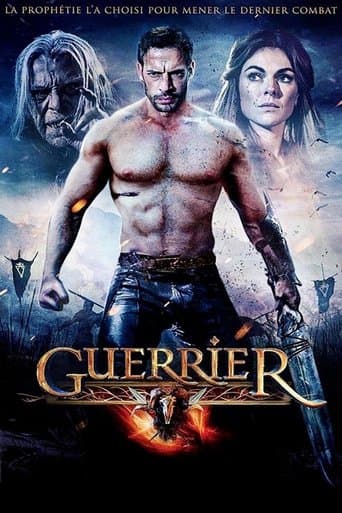 Affiche de Guerrier