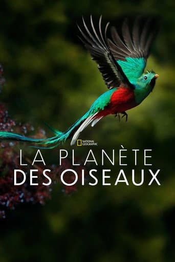Affiche de Planète des oiseaux
