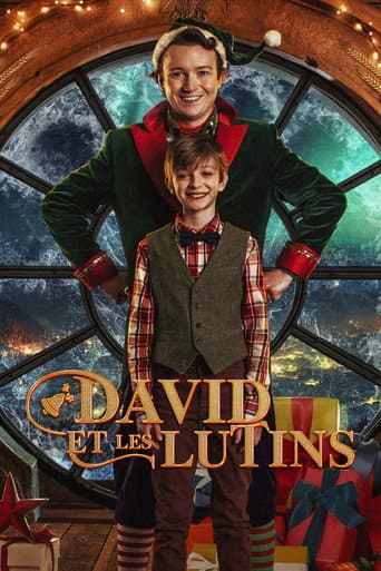 Affiche de David et les lutins