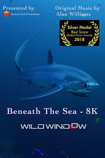 Affiche de Wild Window: Beneath the Sea