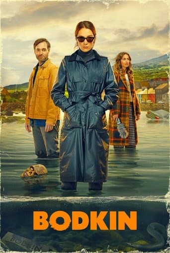 Affiche de Bodkin