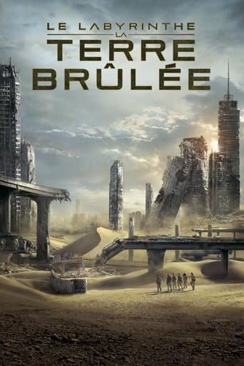 Affiche de Le Labyrinthe : La Terre brûlée