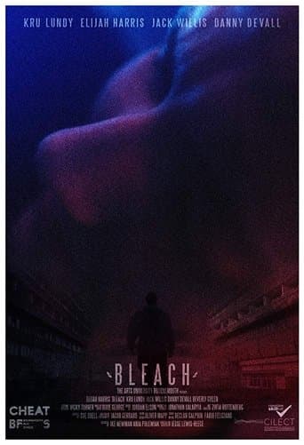 Affiche de Bleach