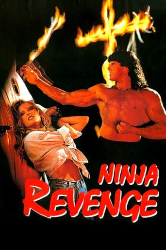Affiche de Ninja Vengeance
