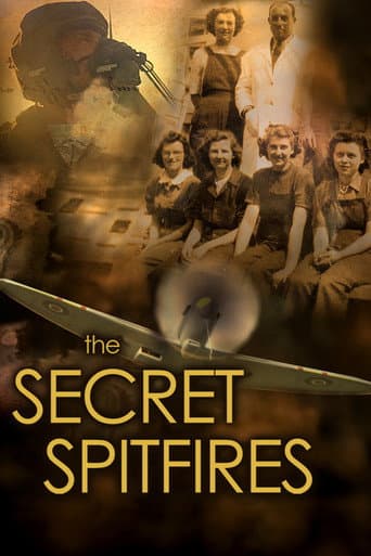 Affiche de The Secret Spitfires