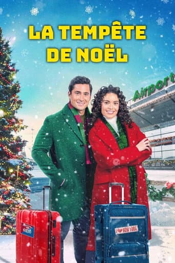 Affiche de La tempête de Noël