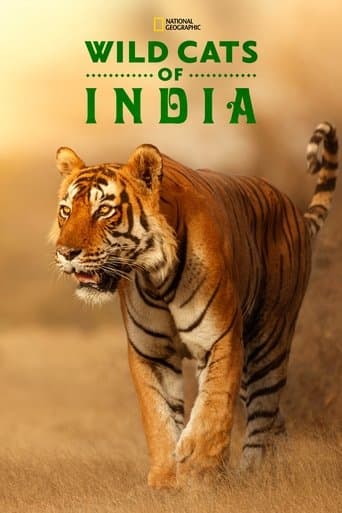 Affiche de L'Inde : Terre de félins