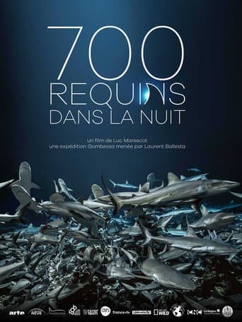 Affiche de 700 requins dans la nuit