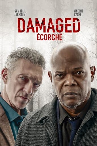 Affiche de Damaged