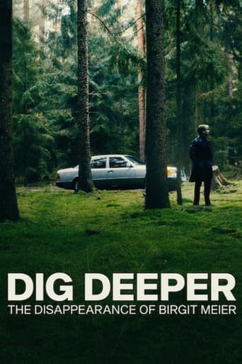Affiche de Une vérité enfouie : La disparition de Birgit Meier