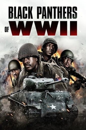 Affiche de Black Panthers of WWII