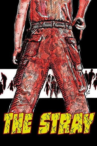Affiche de The Stray