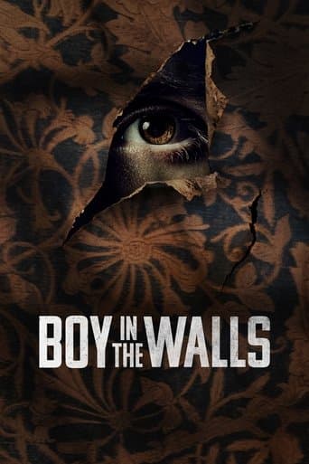 Affiche de Le garçon dans les murs