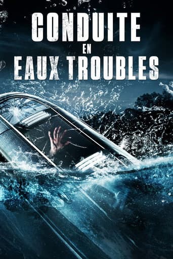 Affiche de Conduite en eaux troubles