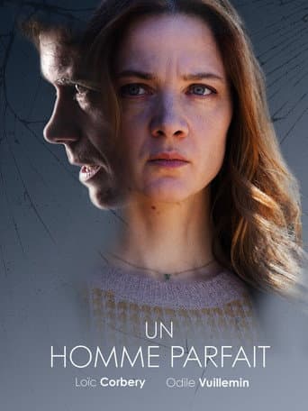 Affiche de Un homme parfait