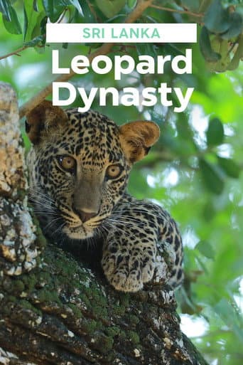 Affiche de Sri Lanka : Le royaume des léopards
