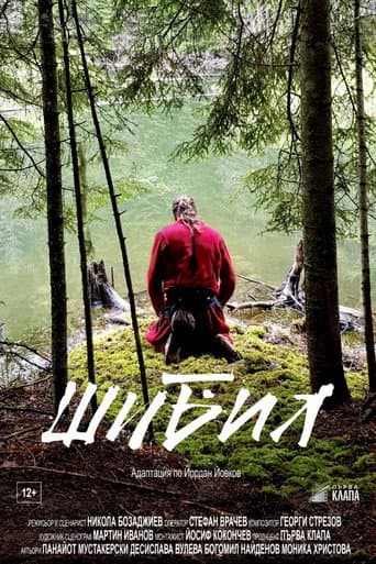 Affiche de Shibil
