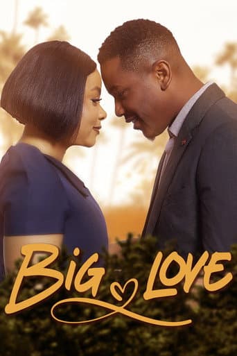 Affiche de Big Love