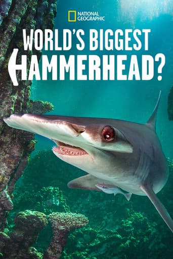 Affiche de World's Biggest Hammerhead?