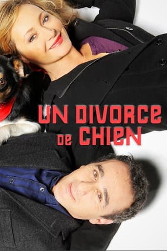Affiche de Un divorce de chien