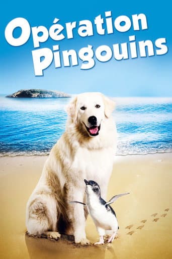 Affiche de Opération Pingouins