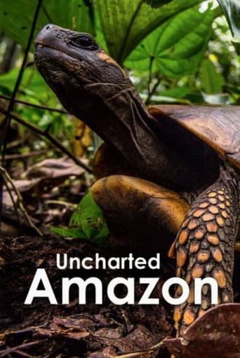 Affiche de Uncharted Amazon