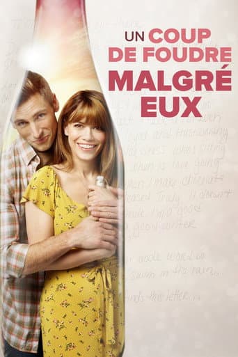 Affiche de Un coup de foudre malgré eux