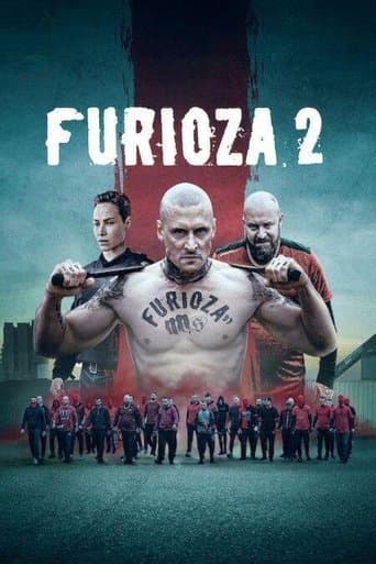 Affiche de Furioza 2