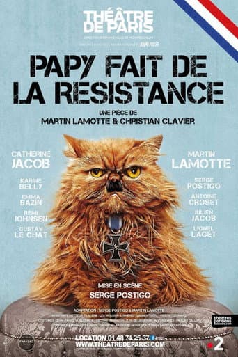 Affiche de Papy fait de la résistance