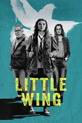 Affiche de Little Wing