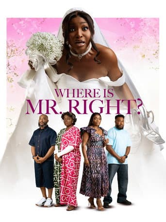 Affiche de Where is Mr Right