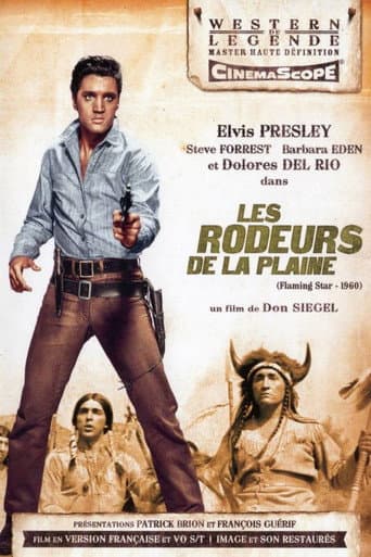 Affiche de Les Rôdeurs de la plaine