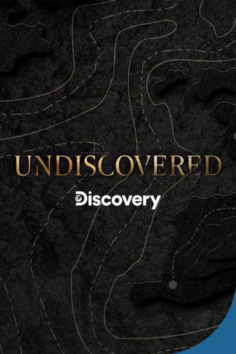 Affiche de Undiscovered