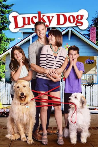 Affiche de Un chien très chanceux