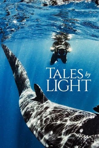 Affiche de Terre en lumière