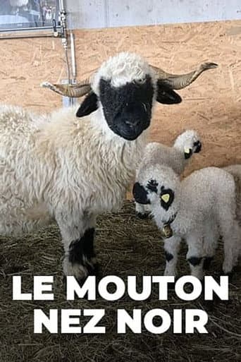 Affiche de Moutons blancs Nez noirs - Les chouchous du Valais