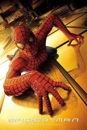 Affiche de Spider-Man