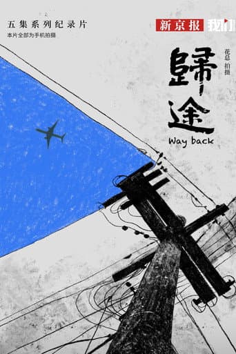 Affiche de 归途