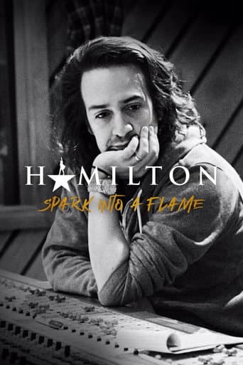 Affiche de Spark Into a Flame