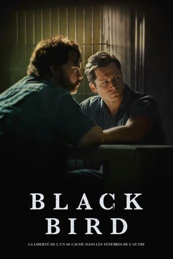 Affiche de Black Bird