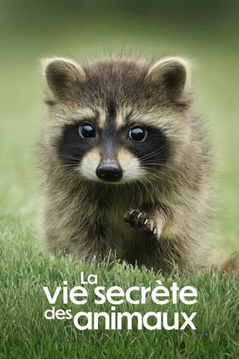 Affiche de La Vie secrète des animaux