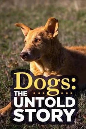Affiche de Le chien, le meilleur ami de l'Homme