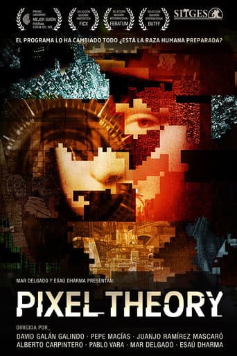 Affiche de Pixel Theory