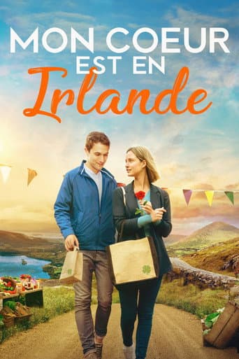 Affiche de L'hôtel des coups de foudre
